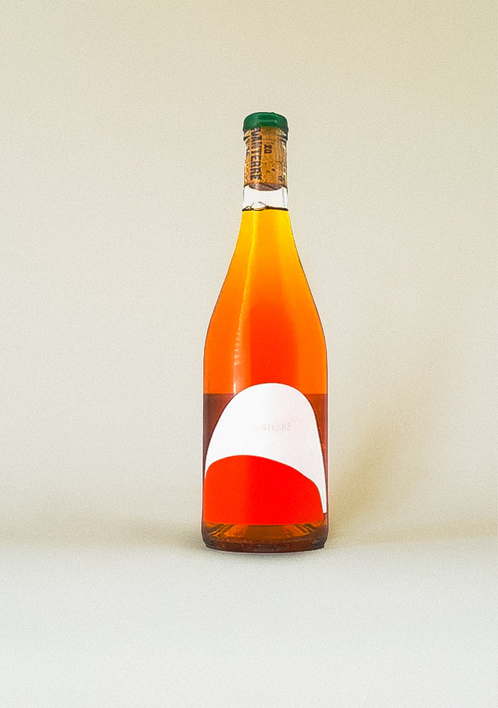 Vivanterre Orange Contact | Vivanterre Contact SGU | Sipsberlin