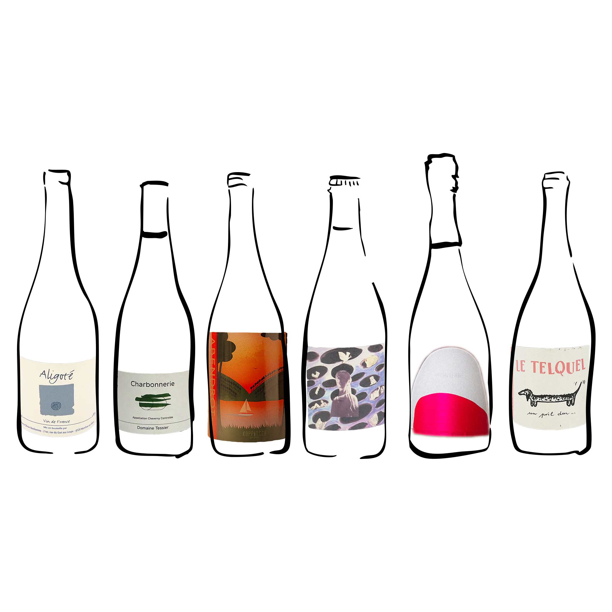 6 Bottles