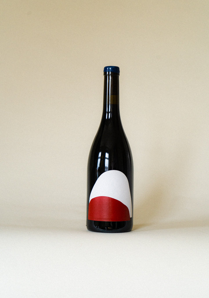 Gamay wine deals