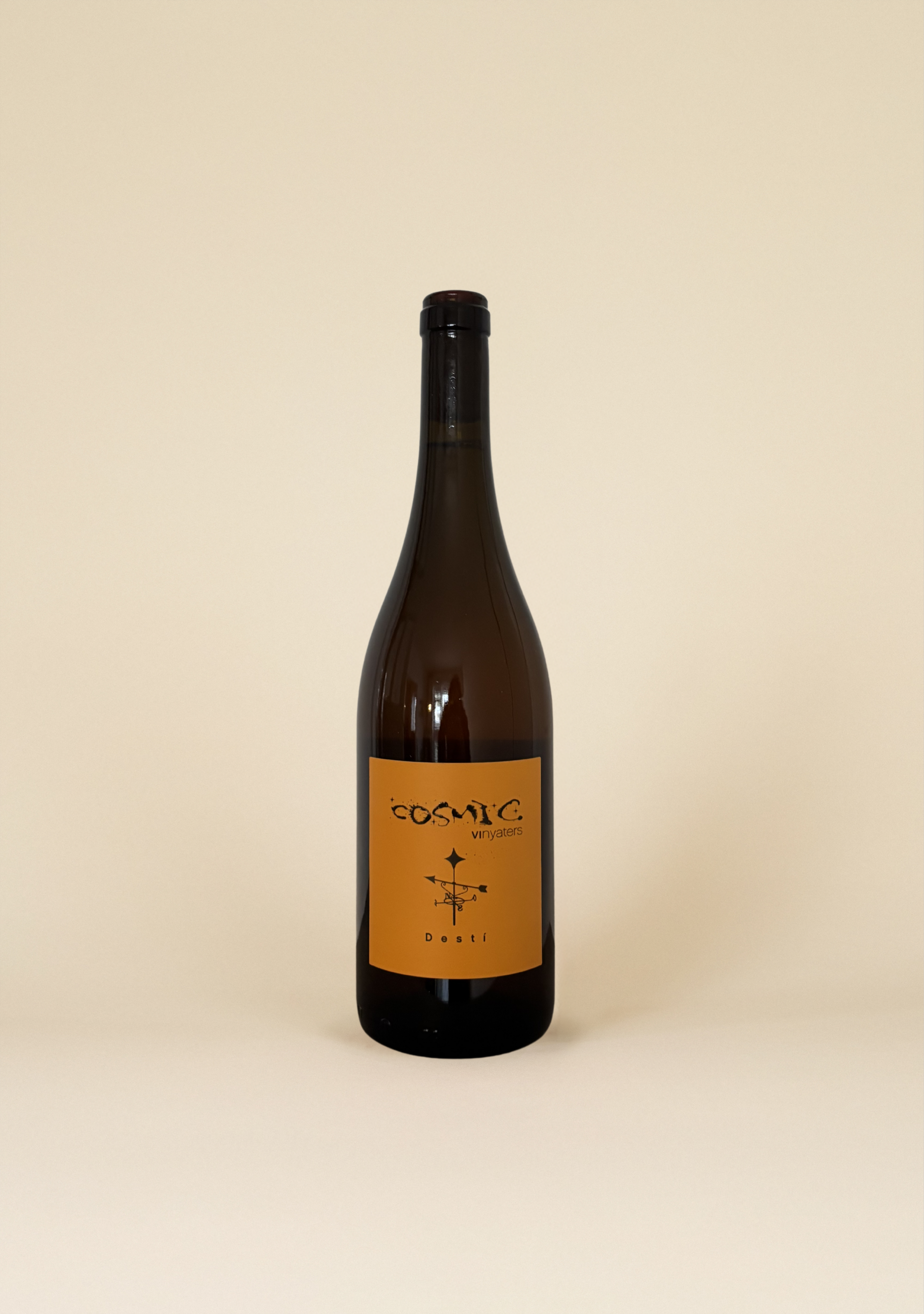 Còsmic Vinyaters, Destí 2025