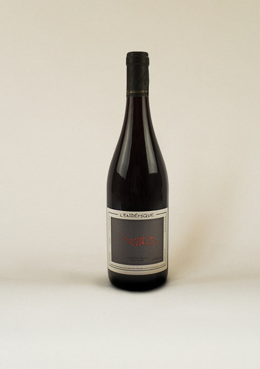 Jeremy Quastana Wine | Lendémique Saint Pierre | Sipsberlin
