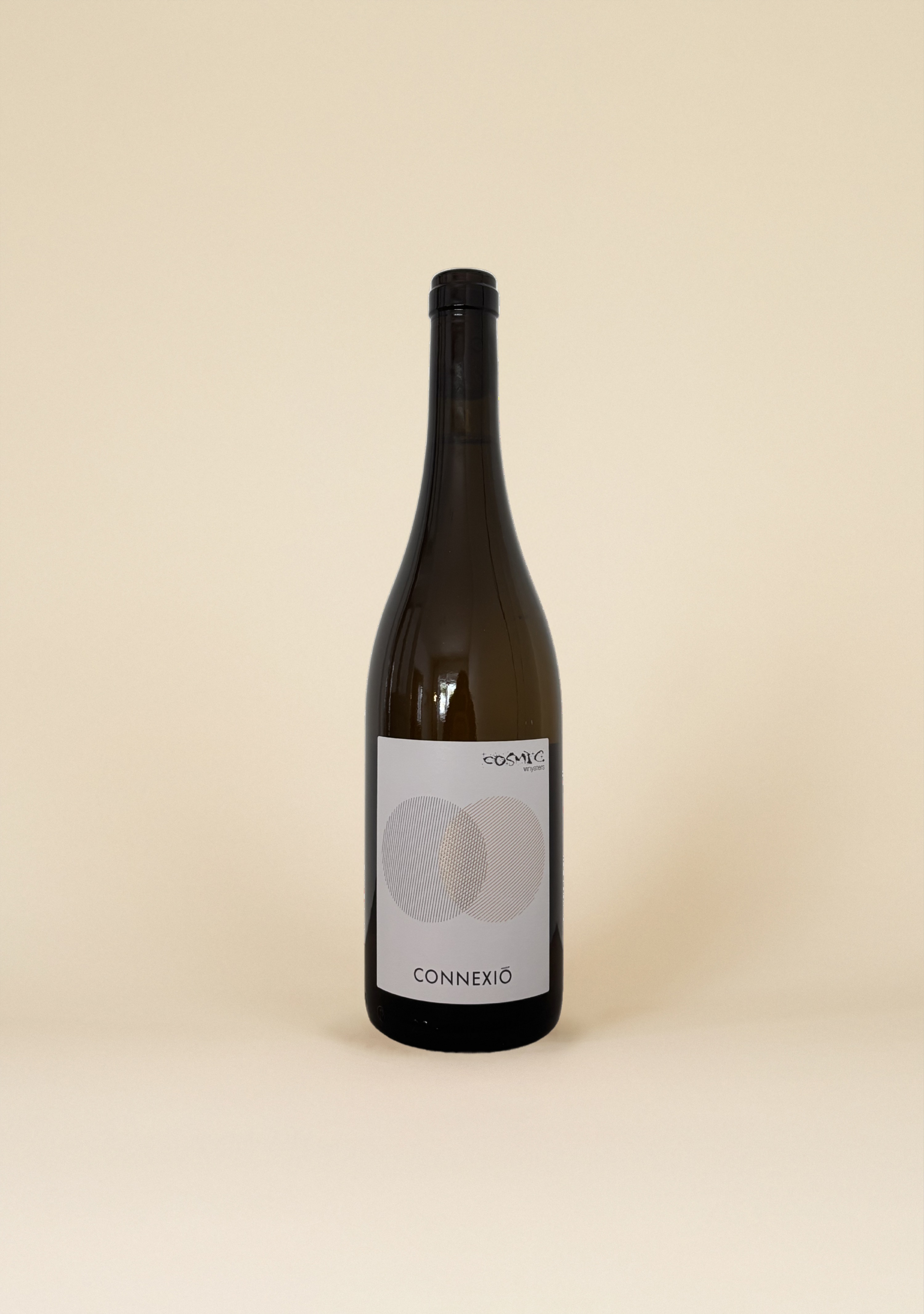 Còsmic Vinyaters, Connexió Còsmica 2025