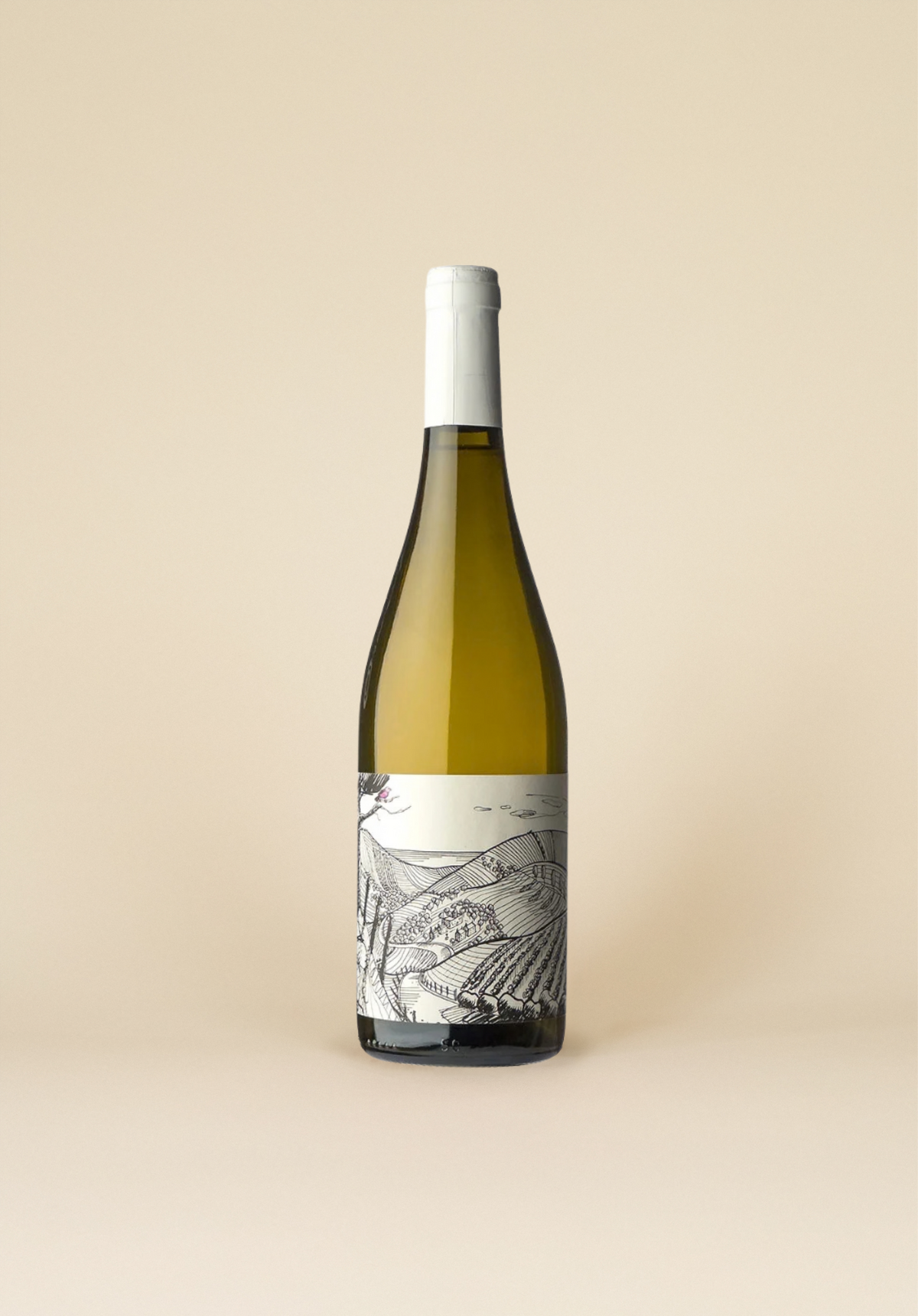 Artesano Vintners - Pardalet 2023